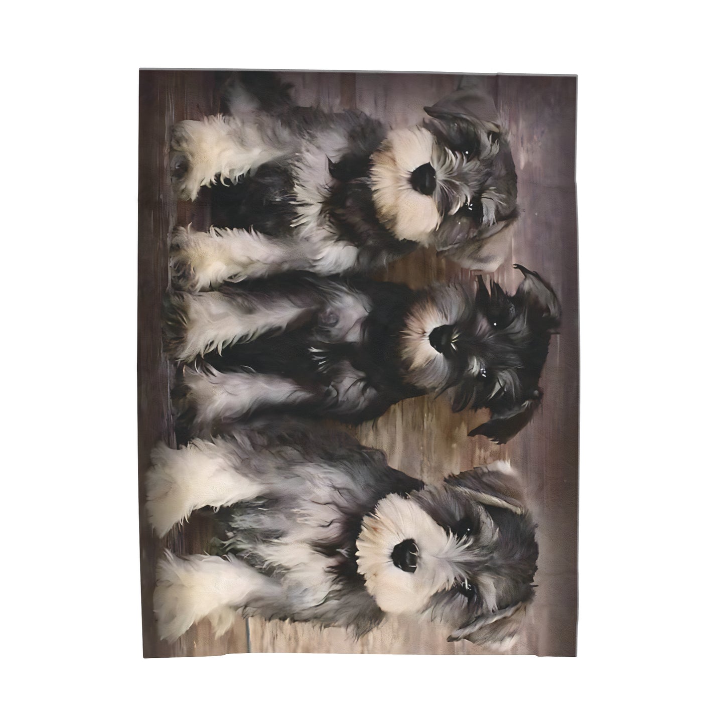 Schnauzer Blanket l Velveteen Plush Blanket - Perfect for Football Fans, Cozy Home Decor