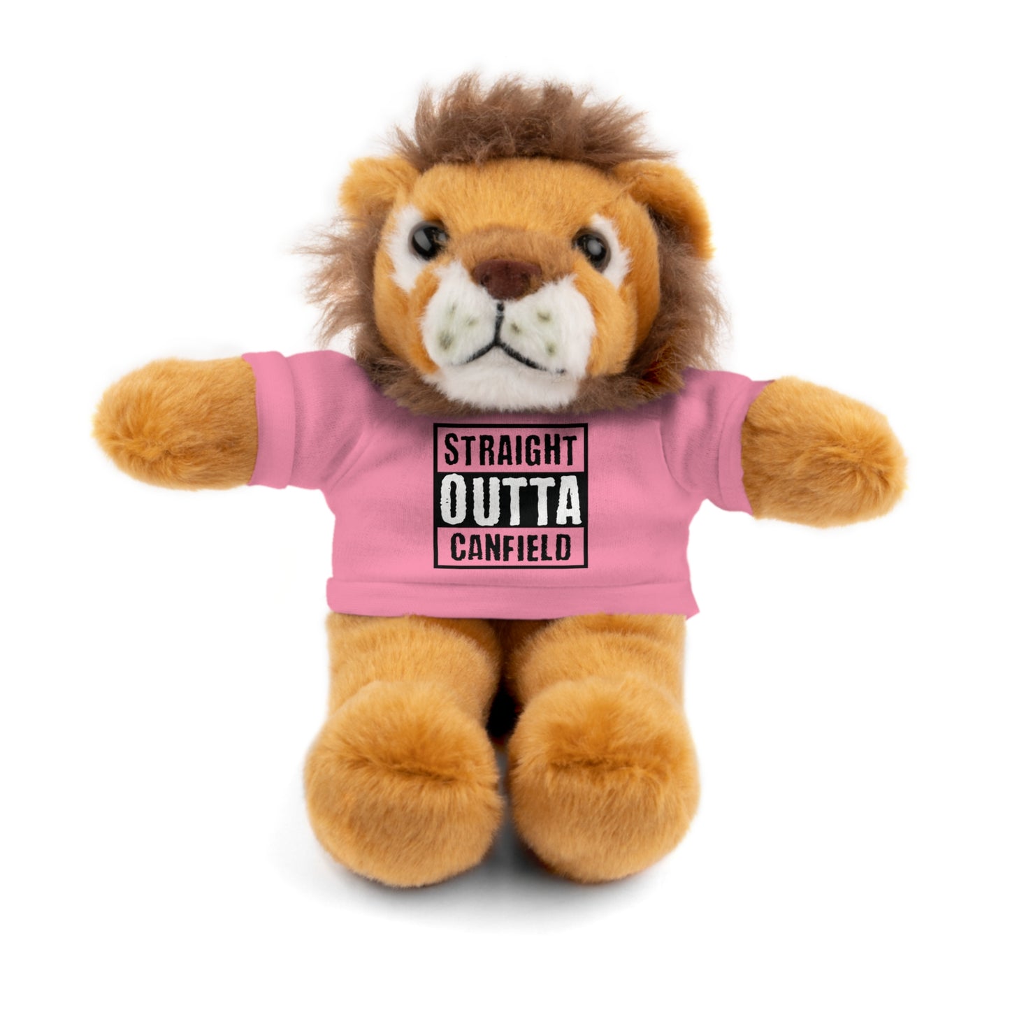 Stuffed Animals w/"Straight Outta Canfield" Tee